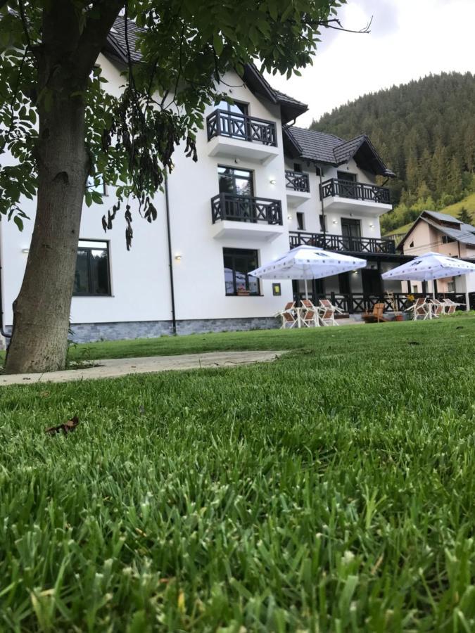 Pensiunea Edelweiss Voineasa Exterior foto